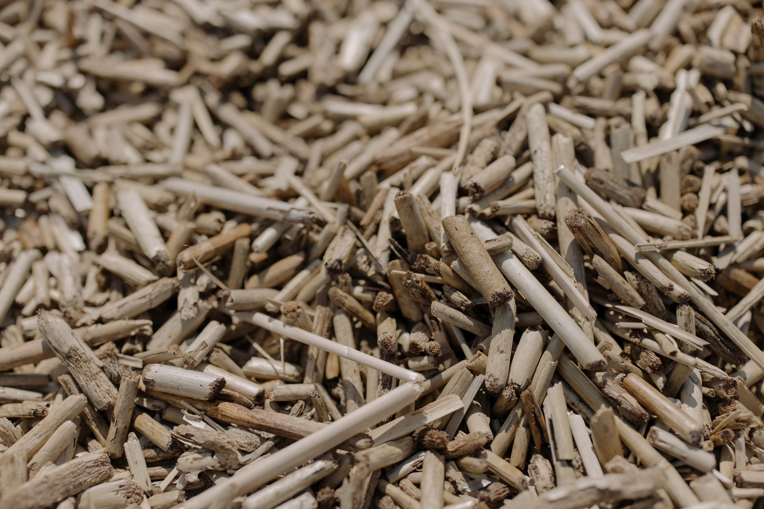 Bulk dried lemongrass (sliced/powdered) for export - Wholesale supply of premium aromatic lemongrass for international importers, tea blenders, and spice manufacturers
