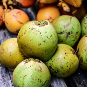 Bulk frozen young coconut meat and coconut water for export - Wholesale supply of premium frozen coconut products for international importers and beverage manufacturers