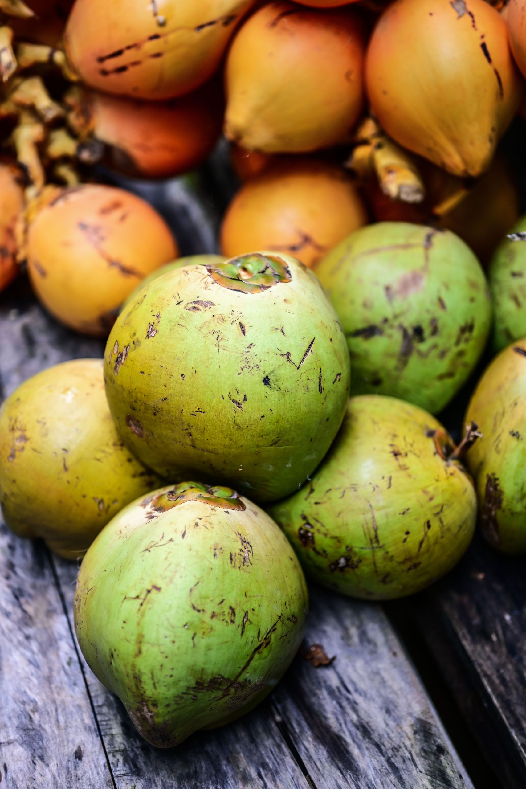 Bulk frozen young coconut meat and coconut water for export - Wholesale supply of premium frozen coconut products for international importers and beverage manufacturers