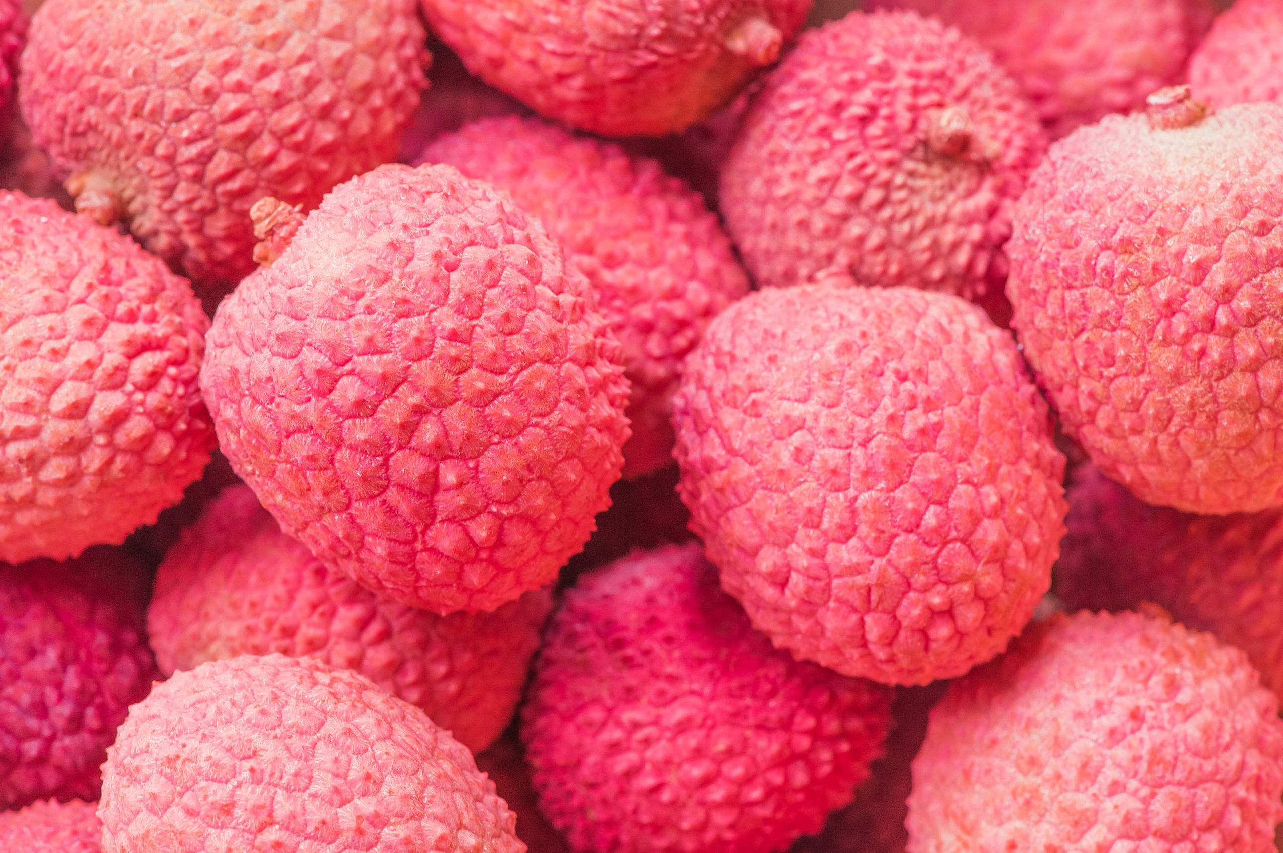 Bulk IQF frozen lychee (whole and pulp) for export - Wholesale supply of premium frozen lychee for international importers and food manufacturers