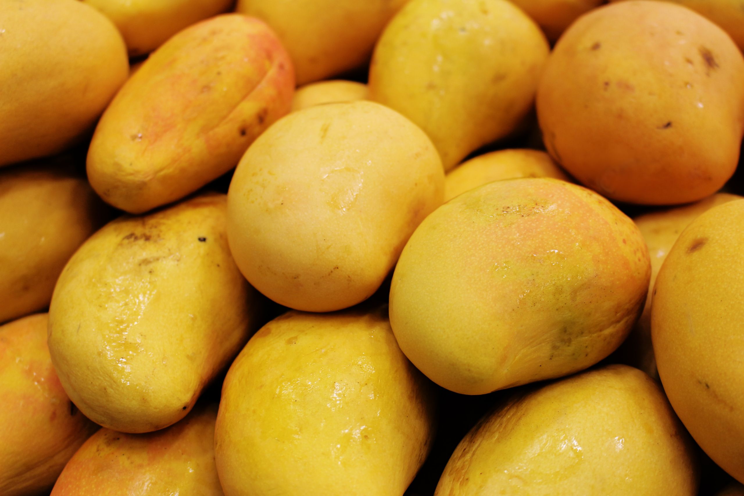 Bulk IQF frozen mango dices and pulp for export - Wholesale frozen mango cubes supply for international importers and food manufacturers