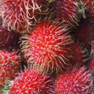 Bulk IQF frozen rambutan (whole and pulp) for export - Wholesale supply of premium frozen rambutan for international importers and food manufacturers